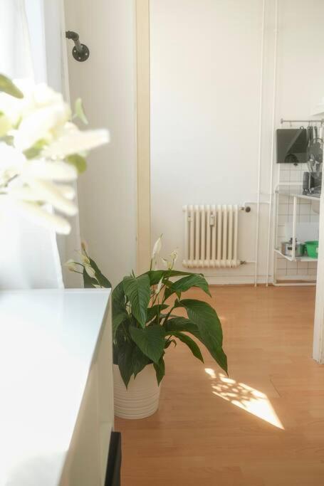 Stadtoase Wohnung Nahe Hauptbahnhof 코블렌츠 외부 사진